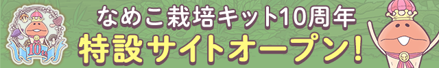 なめこ情報局｜なめこぱらだいす なめこ公式サイト