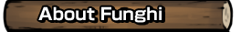 About Funghi