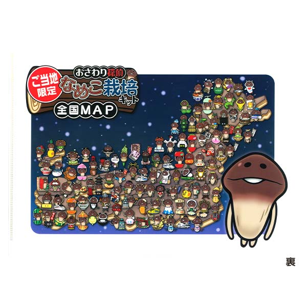 徳島限定 すだち なめこ クリアファイル｜なめこぱらだいす