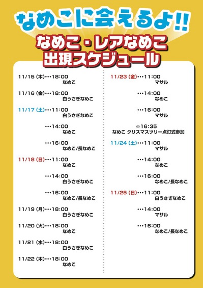 yokohama_schedule.jpg