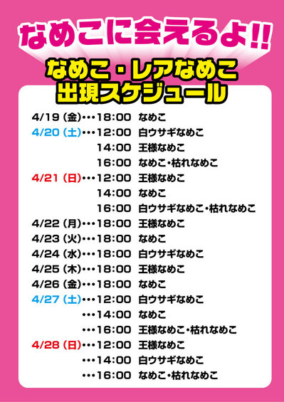 shinyokohama_schedule.jpg
