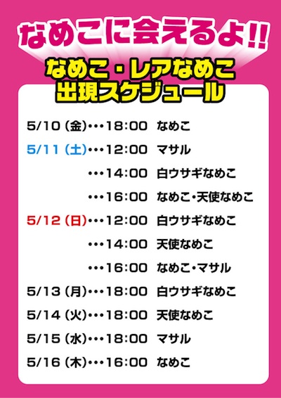 130510hirosima_schedule.jpgのサムネイル画像
