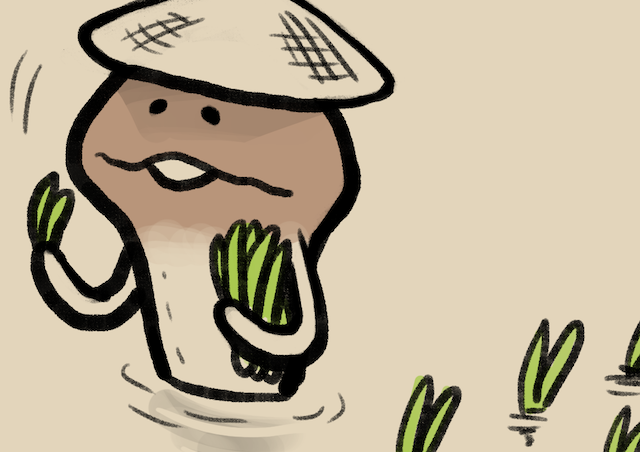 なめこさん専用 和歌山限定 パンダ なめこ ねつけ｜なめこぱらだいす☆なめこ公式