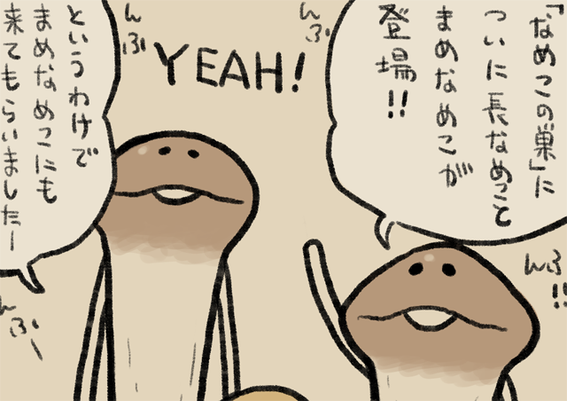 なめこ Amazon.co.jp: ティーズファクトリー おさわり探偵なめこ栽培