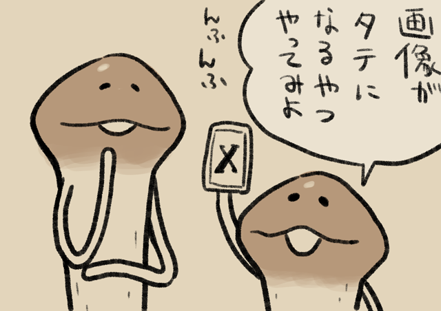 なめこ 4コマ第765話 縦型画像｜なめこぱらだいす なめこ公式サイト