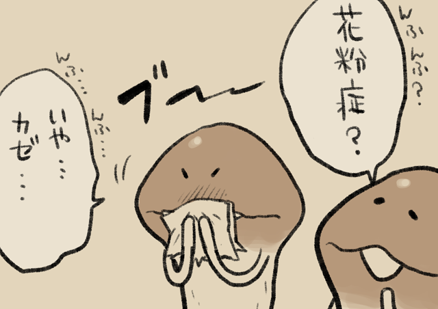 4コマ第772話 強情｜なめこぱらだいす なめこ公式サイト