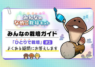 【みんなのなめこ】「ひとりで栽培」#3　よくある疑問にお答えします イメージ