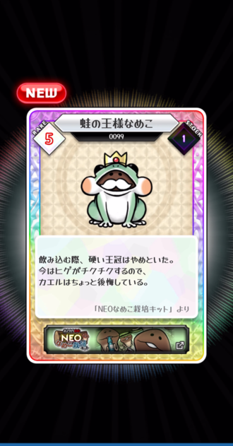 カード.PNG