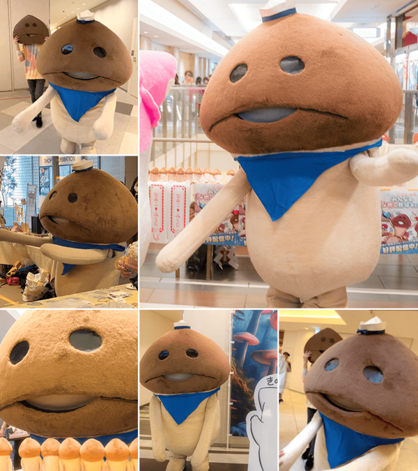 yokohamakinoko_img.png