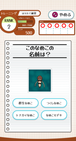 IMG_9126.PNG