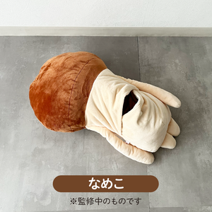 BNC_item01_04.png