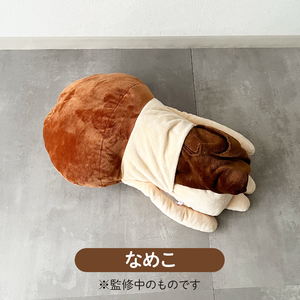 BNC_item01_05.png