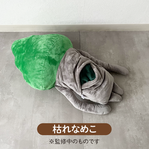 BNC_item02_04.png
