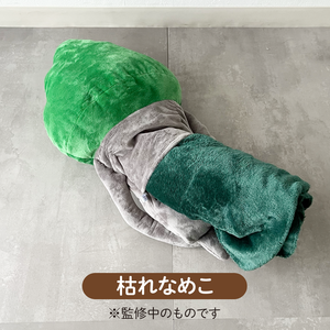 BNC_item02_05.png
