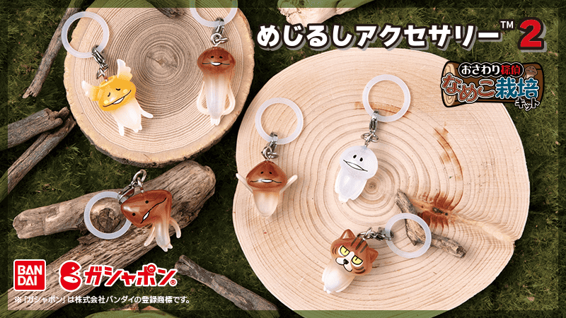 大好評につき第2弾！「めじるしアクセサリー2」発売決定 イメージ
