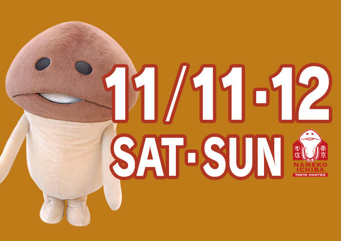 【11月11日（土）・12日（日）】なめこが「なめこ市場 東京本店」にやってくる イメージ