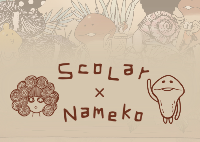 【コラボ】なめこ×ScoLarコラボ 今後の展開まとめ！ イメージ