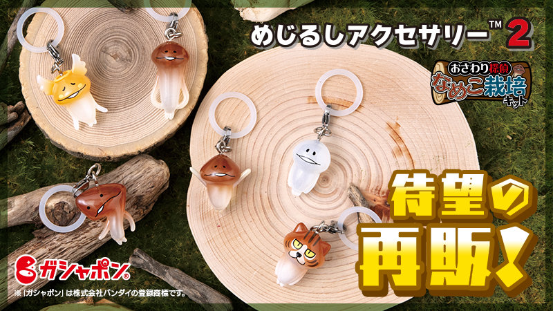 大好評アイテムが再び！「めじるしアクセサリー2」再販決定！ イメージ