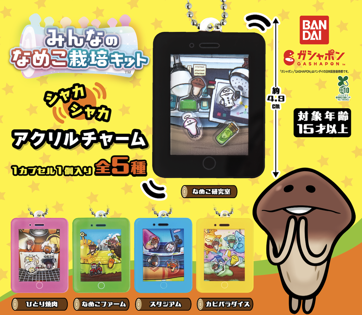 チャーム.png