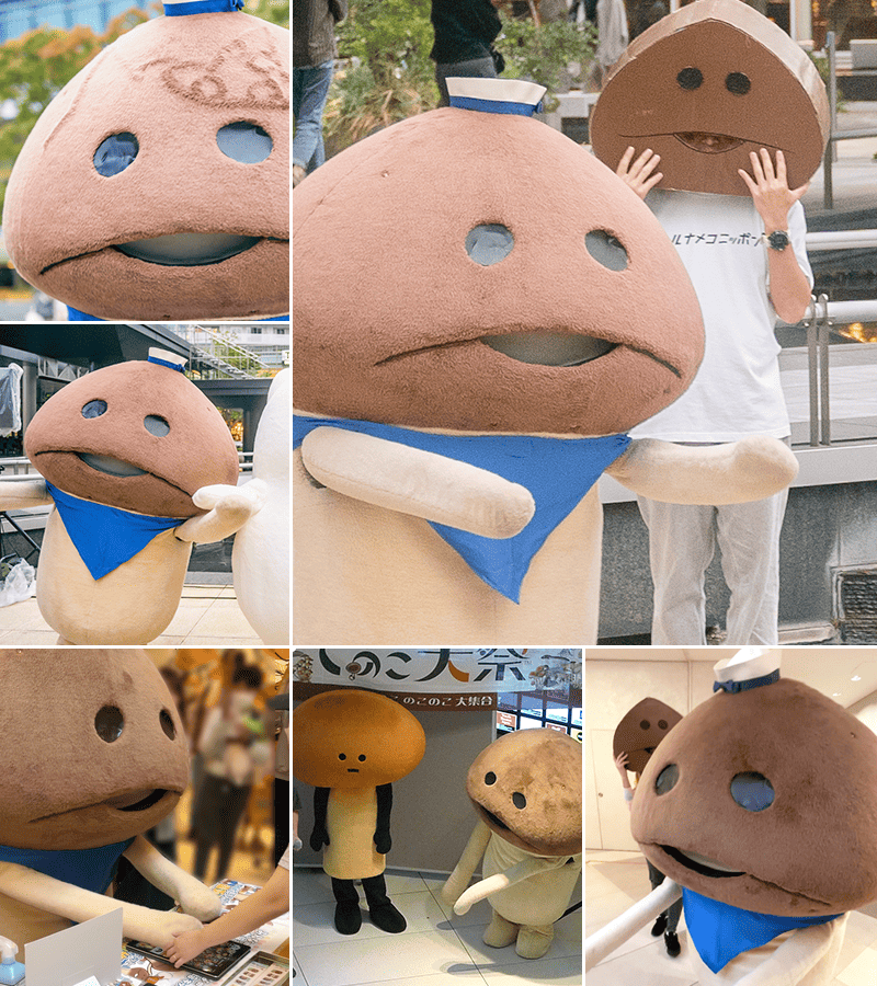 yokohamakinoko_img.png