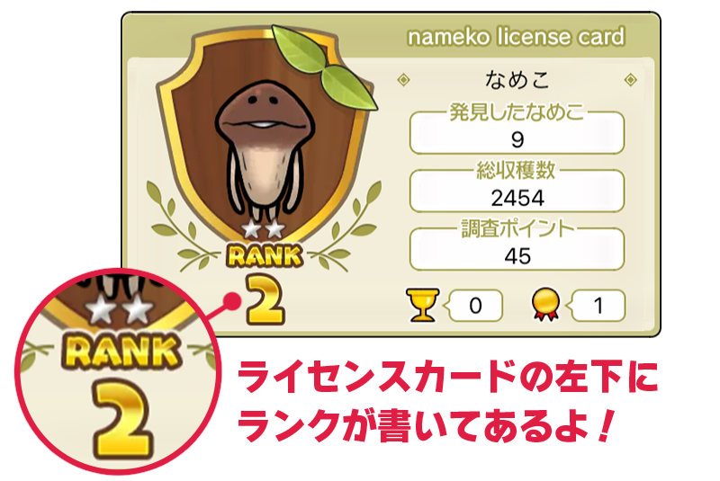 180308rank_point.png