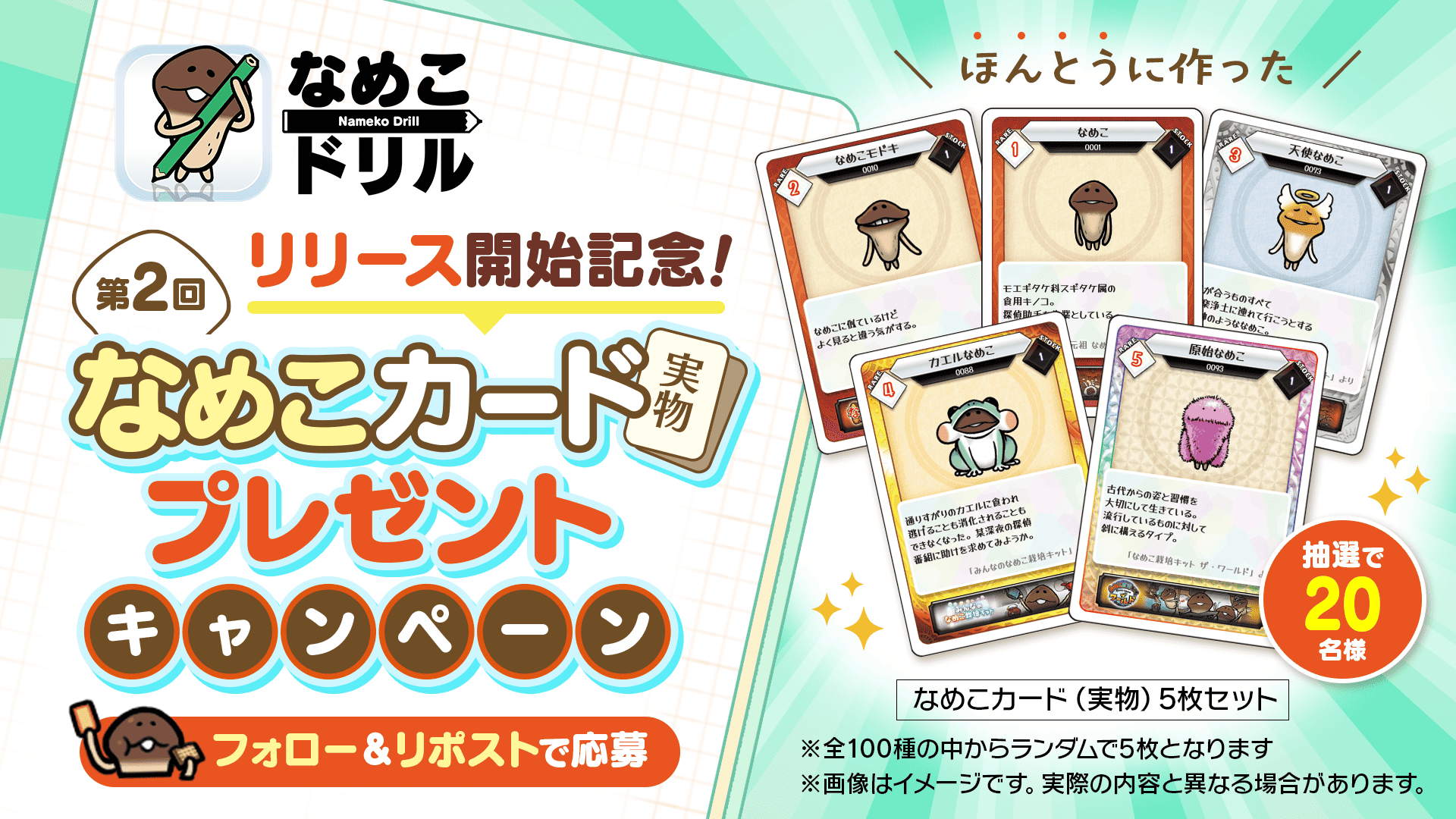 【ドリル】なめこカード（実物）プレゼントキャンペーン第2弾のお知らせ イメージ