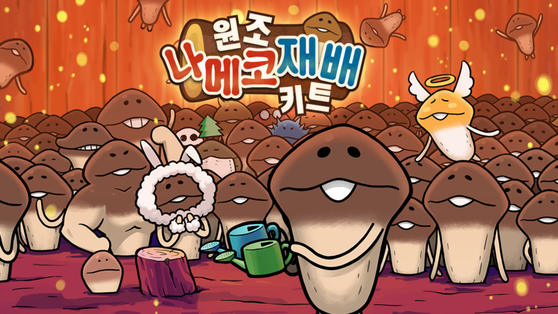 원조 나메코 재배키트