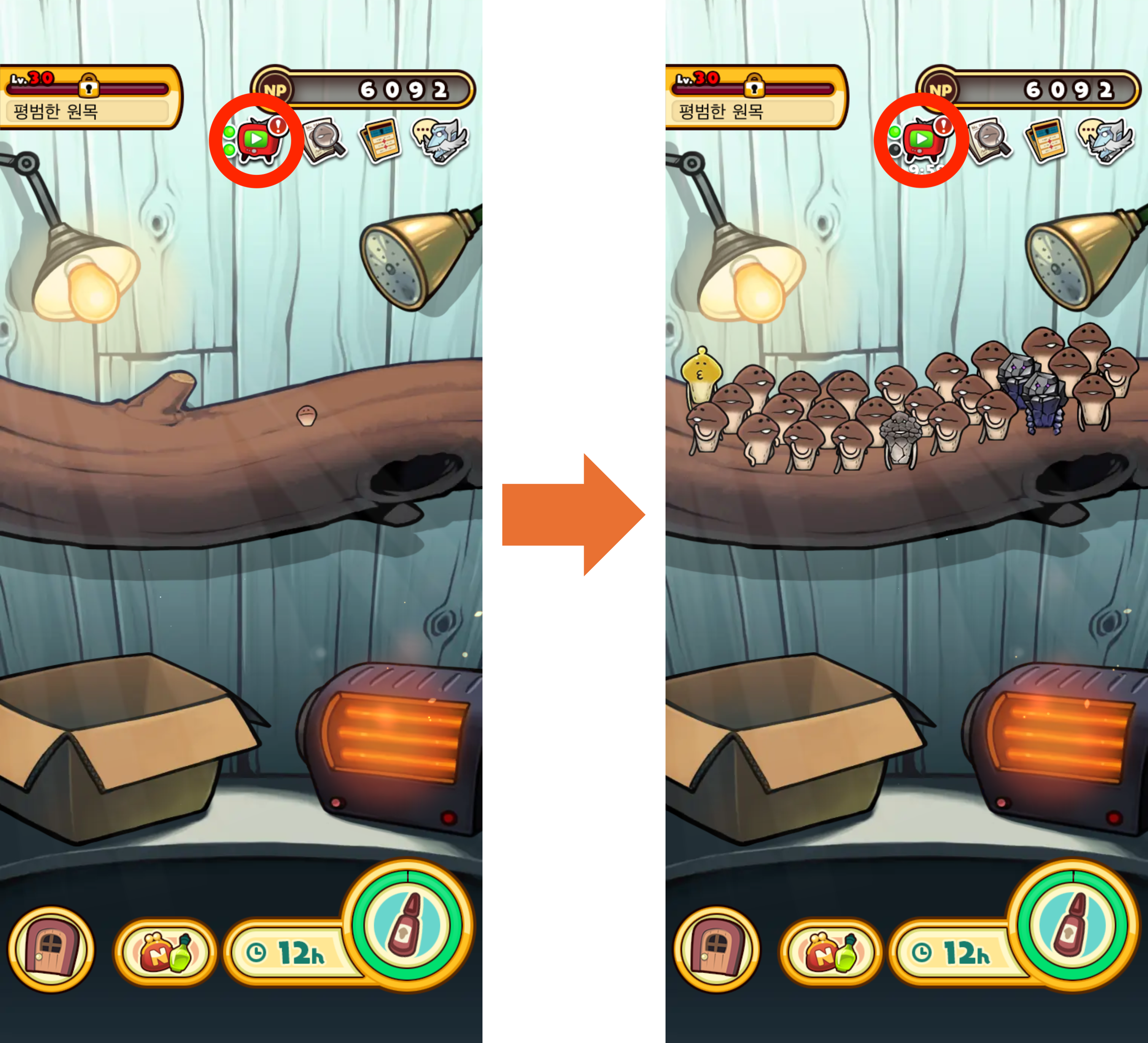 KR.png