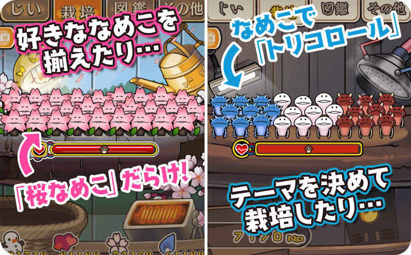 リアルなめこ栽培キットやなめこオリジナルデザインのQUOカードが