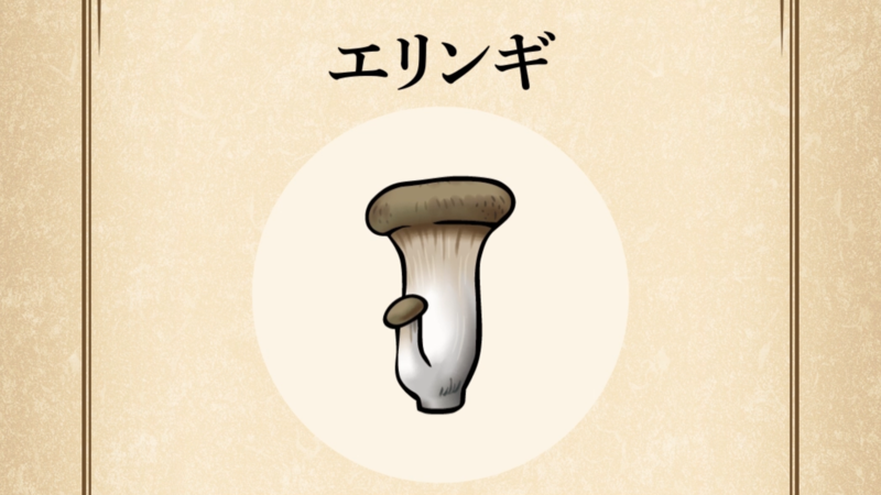 【エリンギ】すぐわかる なめこ図鑑