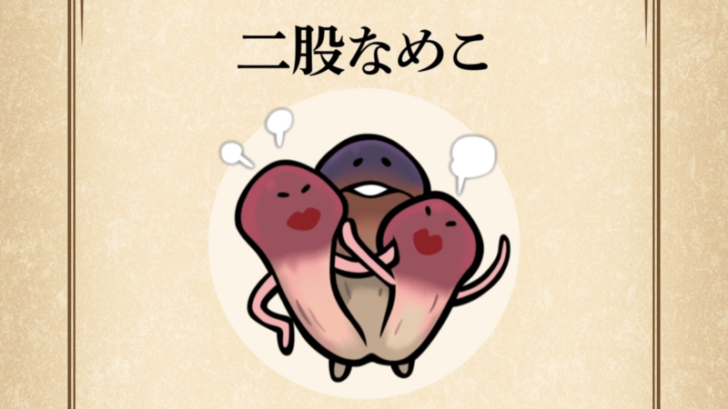 【二股なめこ】すぐわかる なめこ図鑑